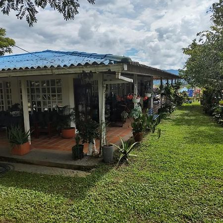Villa Monica Montenegro Exteriér fotografie