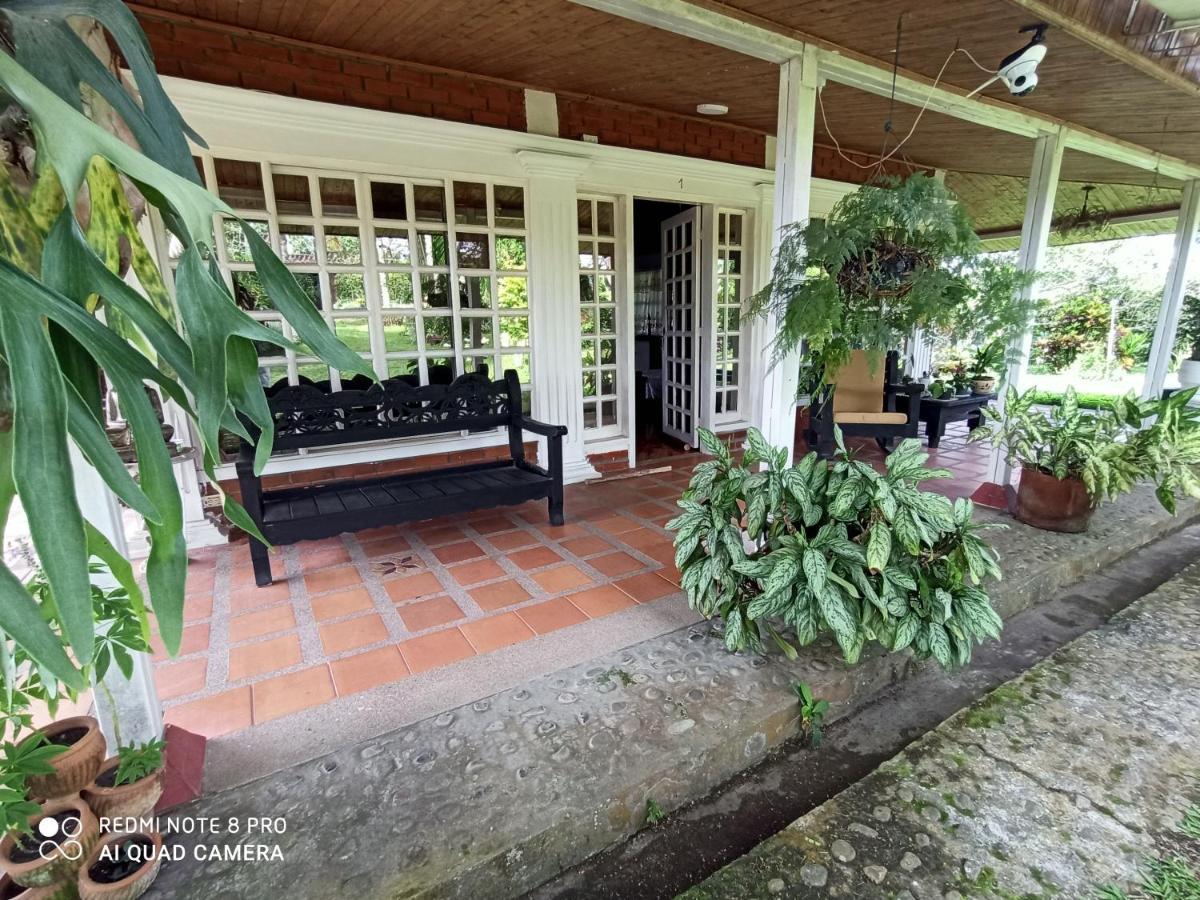 Villa Monica Montenegro Exteriér fotografie