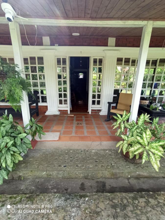 Villa Monica Montenegro Exteriér fotografie