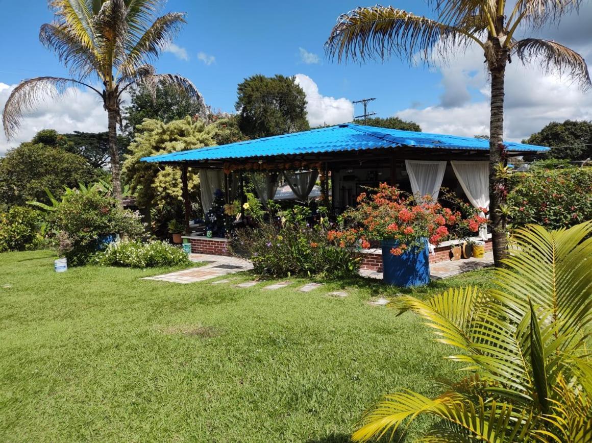 Villa Monica Montenegro Exteriér fotografie
