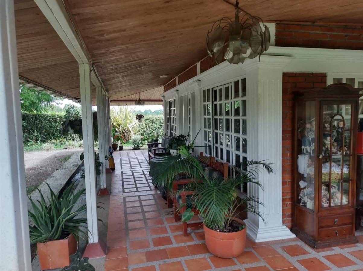 Villa Monica Montenegro Exteriér fotografie
